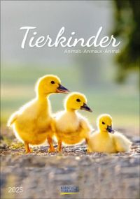 Fotokalender Tierkinder als Werbeartikel