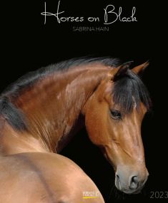 Tierkalender Horses on Black
