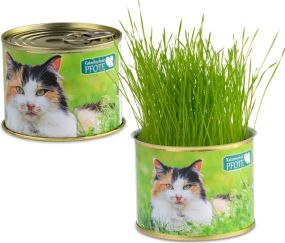 Katzen-Gras als Werbeartikel