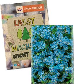 Samentütchen Mini - Graspapier - Samen nach Wahl - inkl. Werbedruck als Werbeartikel