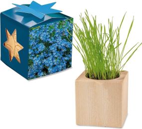 Pflanz-Holz Maxi Star-Box - Samen nach Wahl - inkl. Werbedruck als Werbeartikel