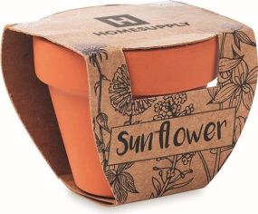 Terracotta-Topf Sonnenblume als Werbeartikel