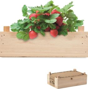 Saat-Set Erdbeere als Werbeartikel