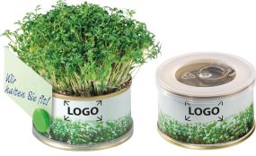 Minigarten mit Magnet - Samen nach Wahl als Werbeartikel