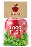 LogoFrucht Apfel