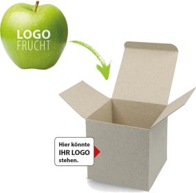 LogoFrucht Apfel grün in Color-Box als Werbeartikel