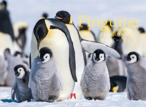 Kalender Pinguine 2023 als Werbeartikel