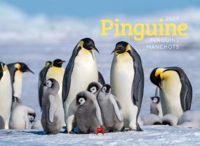 Kalender Pinguine 2024 als Werbeartikel