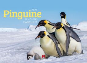 Kalender Pinguine 2024 als Werbeartikel