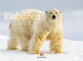 Kalender Eisbären 2023 als Werbeartikel