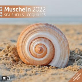 Kalender Muscheln 2022 als Werbeartikel