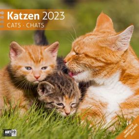 Kalender Katzen 2022 als Werbeartikel