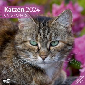 Kalender Katzen 2022 als Werbeartikel