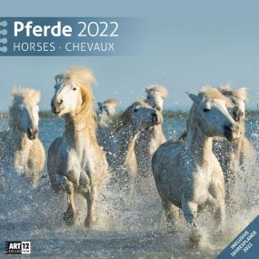 Kalender Pferde 2022 als Werbeartikel