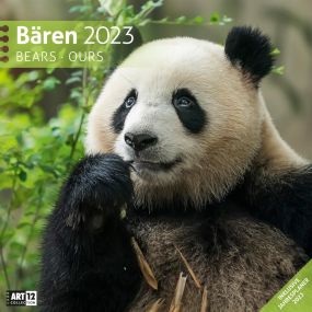 Kalender Bären 2022 als Werbeartikel