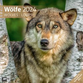 Kalender Wölfe 2022 als Werbeartikel