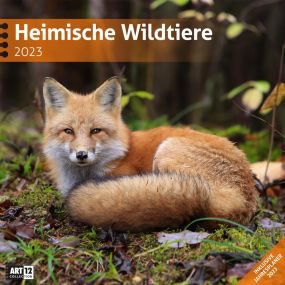 Kalender Heimische Wildtiere 2022 als Werbeartikel