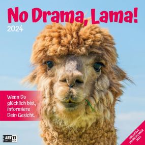 Kalender No Drama, Lama! 2022 als Werbeartikel