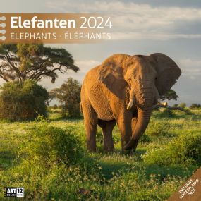 Kalender Elefanten 2022 als Werbeartikel