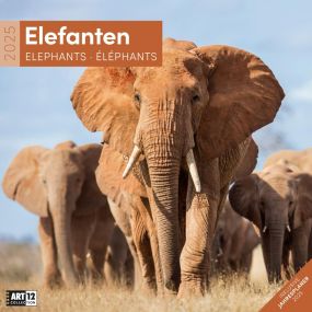 Kalender Elefanten 2024 - 30x30 als Werbeartikel