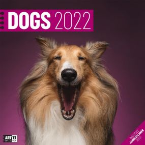 Kalender Dogs 2022 als Werbeartikel