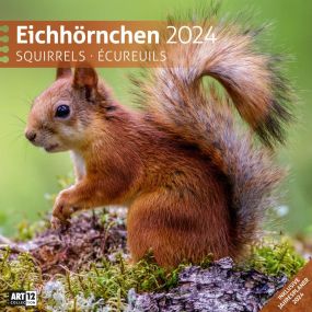 Kalender Eichhörnchen 2022 als Werbeartikel