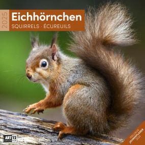 Kalender Eichhörnchen 2024 - 30x30 als Werbeartikel