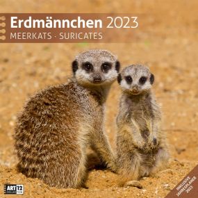 Kalender Erdmännchen 2022 als Werbeartikel