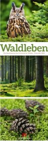 Kalender Waldleben 2022 als Werbeartikel