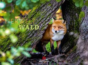 Kalender Tierwelt Wald 2023 als Werbeartikel