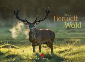 Kalender Tierwelt Wald 2023 als Werbeartikel