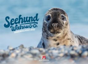 Kalender Seehund, Walross & Co. 2022 als Werbeartikel