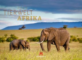 Kalender Tierwelt Afrika 2023