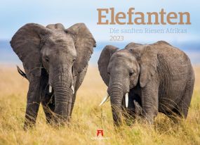 Kalender Elefanten 2023
