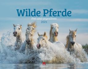 Kalender Wilde Pferde 2024 als Werbeartikel