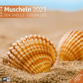 Kalender Muscheln 2023, 30x30 cm