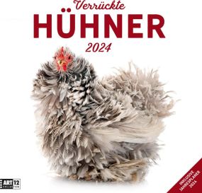 Kalender Verrückte Hühner 2024 - 30x30