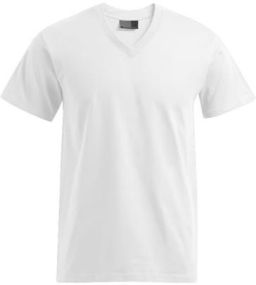 Promodoro Premium T-Shirt - bis Gr. 5XL als Werbeartikel