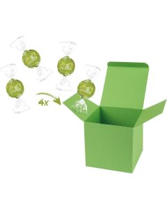 ColorBox Lindor Pistazie