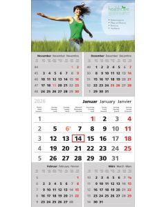 5-Monats-Wandkalender Top Five, 3-sprachig