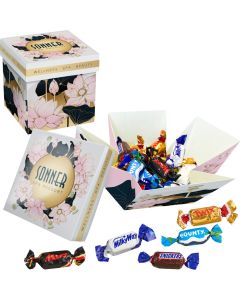 Meeting Star mit 24 Stück Celebrations