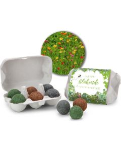 Bienenweide im Eierkarton mit 6 Samenbomben; Auf eine blühende Zusammenarbeit