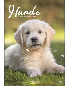 Korsch Kalender Hunde