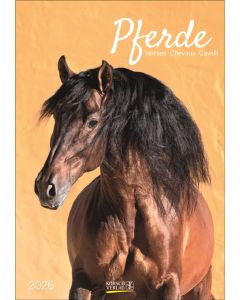 Korsch Kalender Pferde