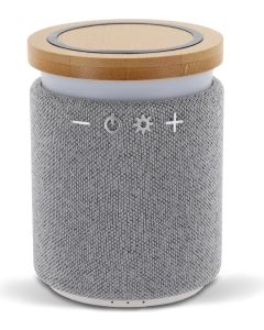 Bamboo wireless speaker