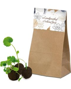 Flower-Balls in Tüte mit Samen - 4 in der Tüte - inkl. Werbedruck