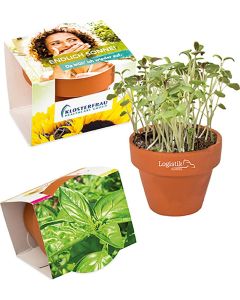 Logo-Töpfchen Komplettbanderole - Samen nach Wahl - inkl. Werbedruck