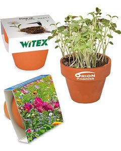 Logo-Töpfchen Banderole - Samen nach Wahl - inkl. Werbedruck