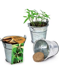 Pflanzeimerchen - Samen nach Wahl - inkl. Werbedruck