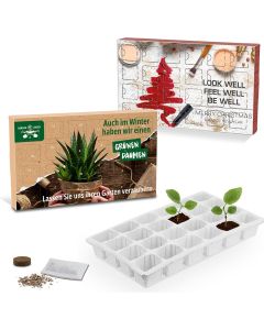 Wachsender Adventskalender  - inkl. Werbedruck